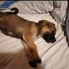 @20esau._